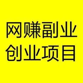 网络项目