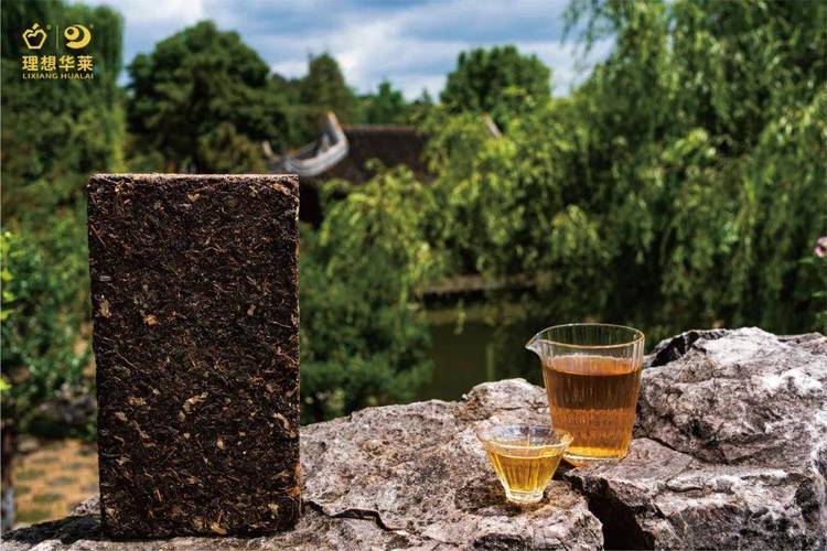 理想华莱黑茶精深加工研发项目的成功验收