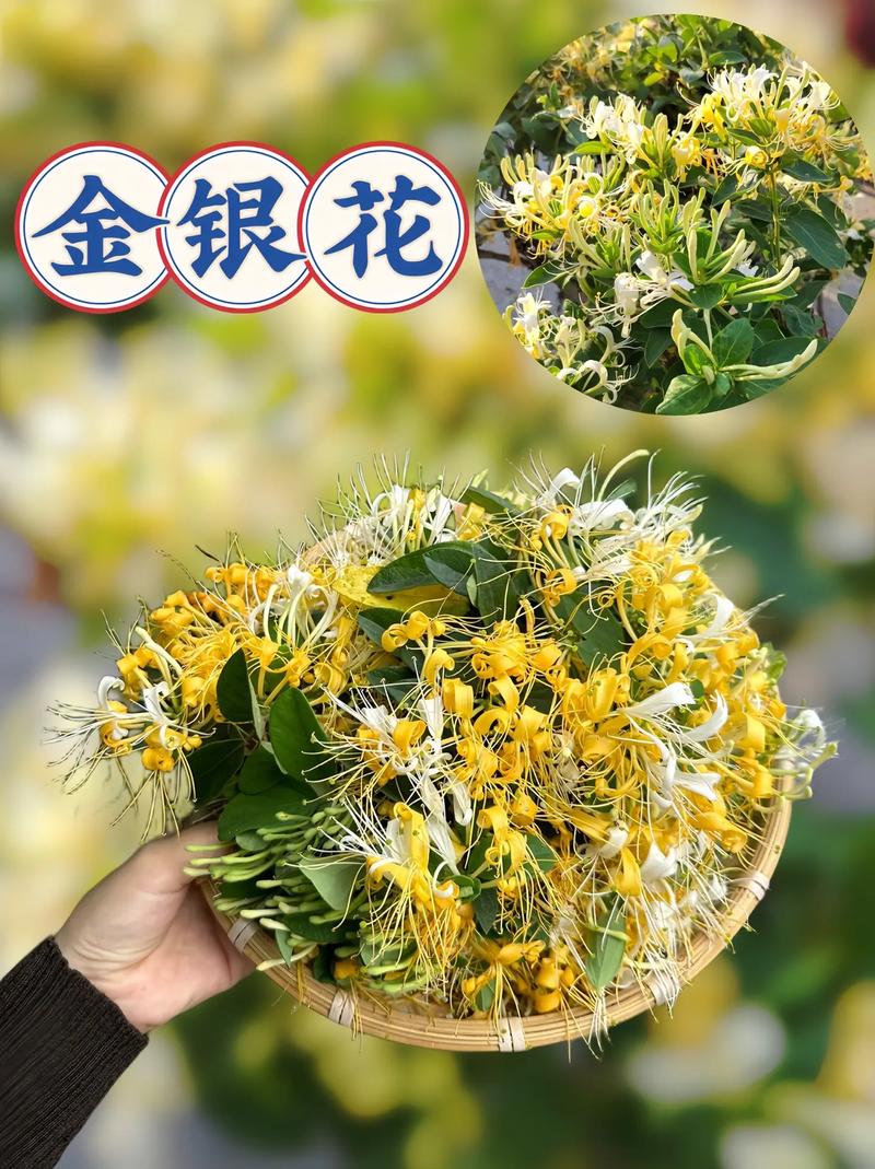 d00ed98c-0a38-42a4-98图标4-e93387ed442d.jpeg